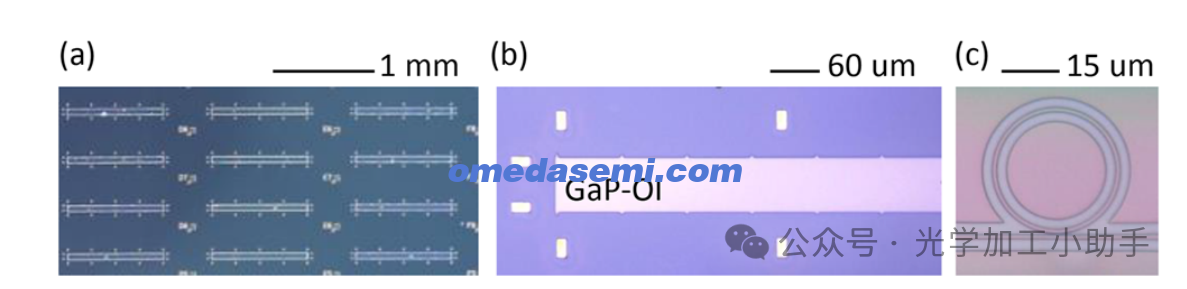微信图片_2025-06-27_105529_680